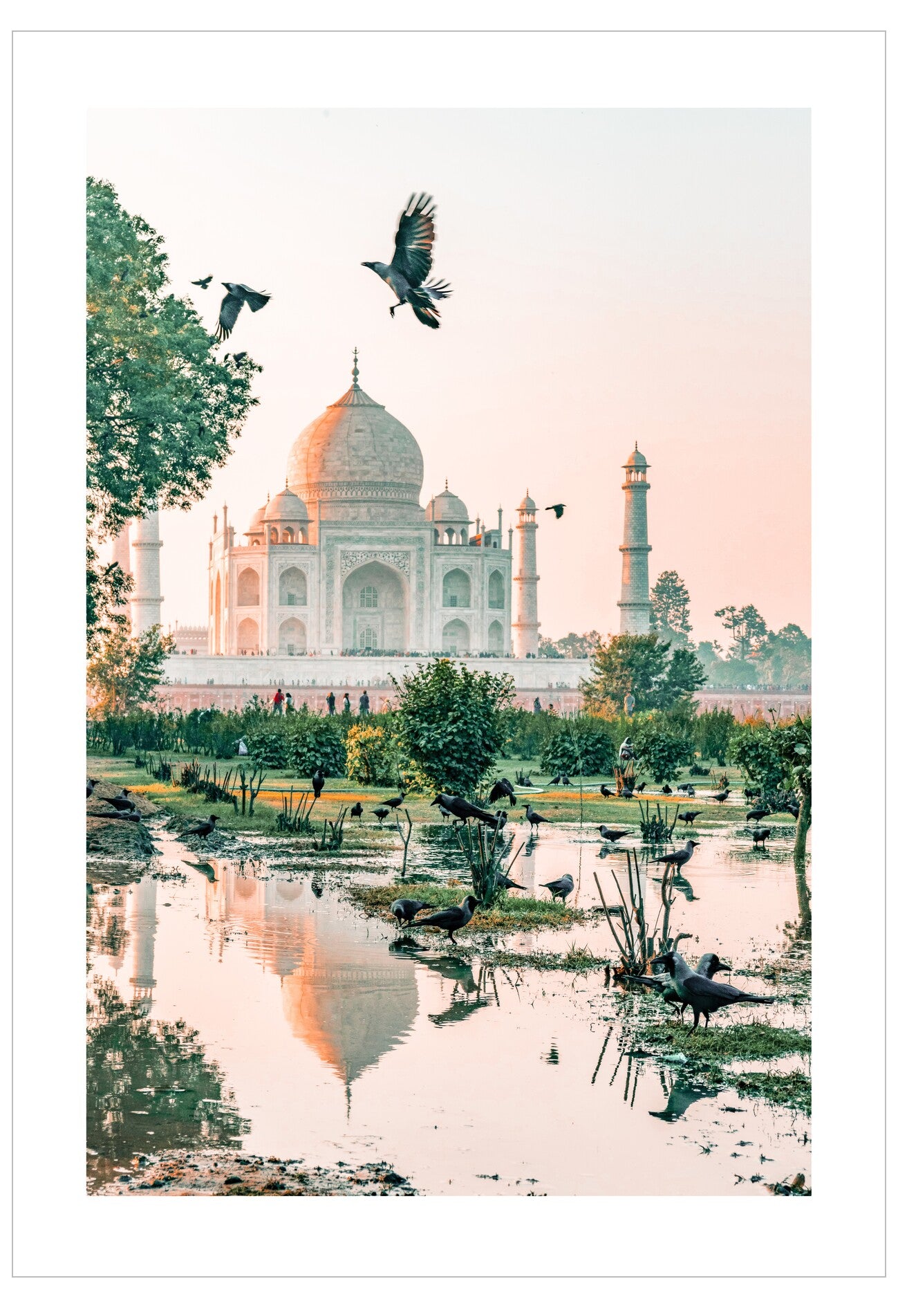 Taj Mahal with birds flying and reflecting in a pond at sunrise.