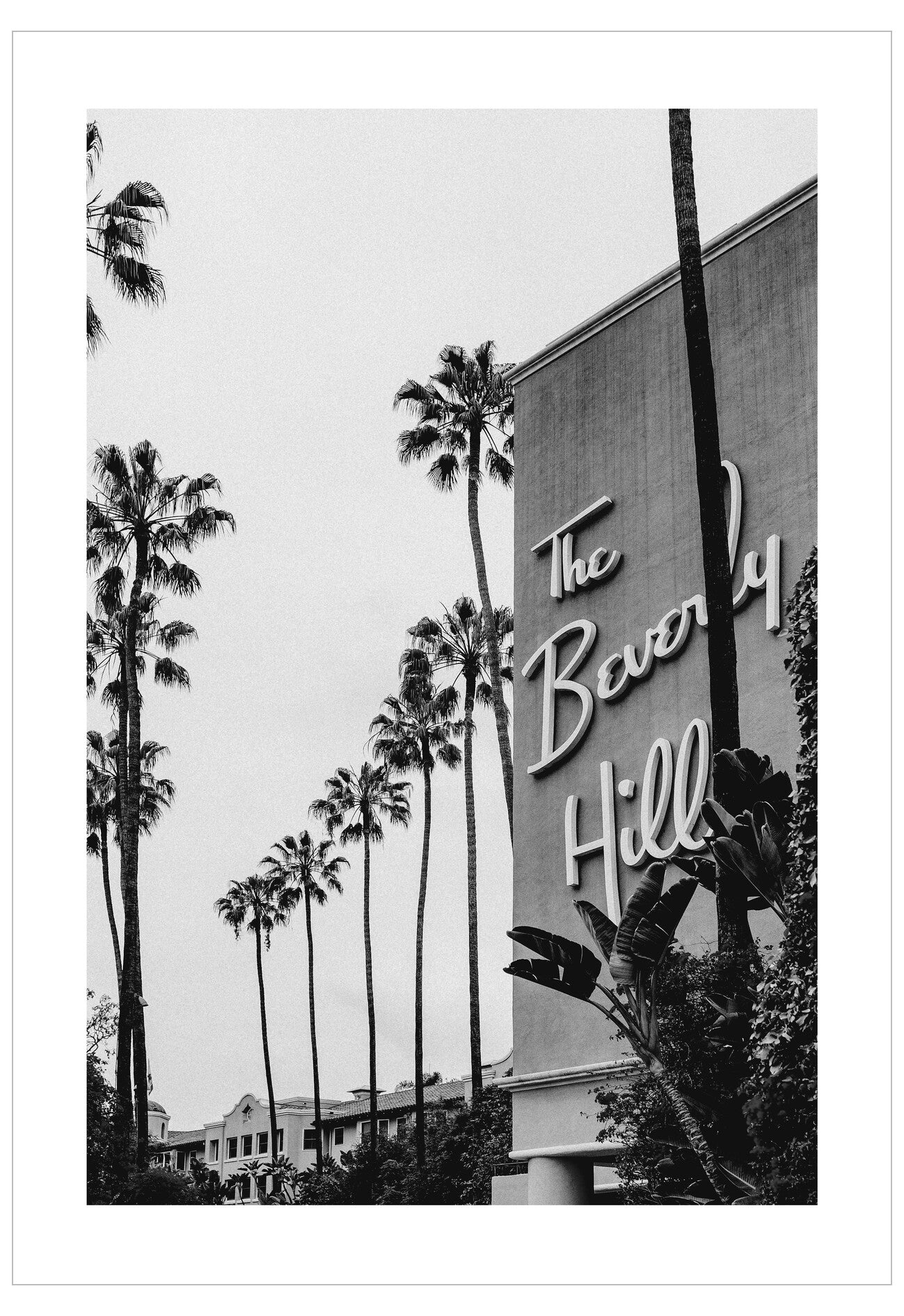 Black and white photo of 'The Beverly Hills' hotel sign with palm trees in the background.