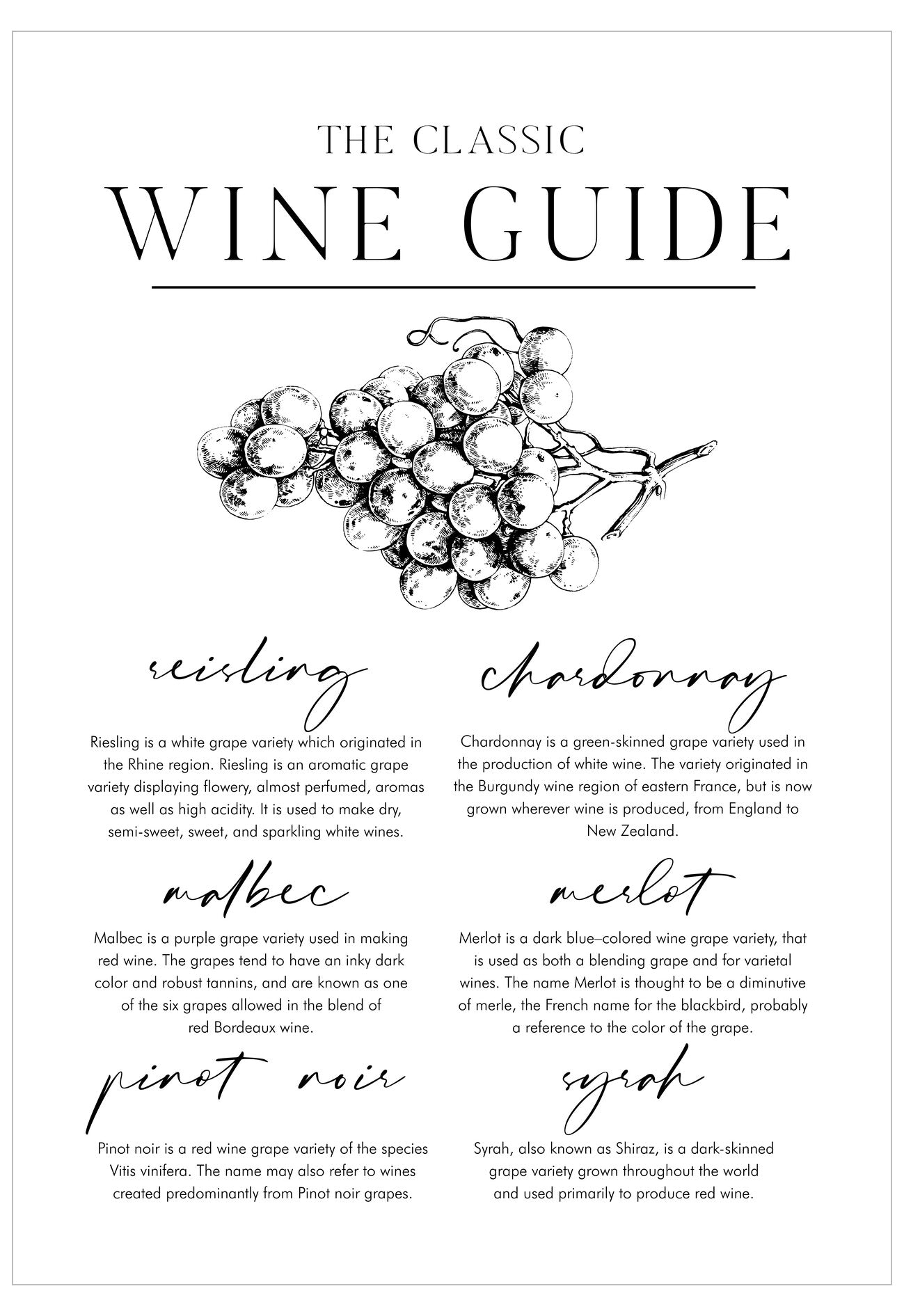 Wine guide with illustrations of grapes and text on a white background