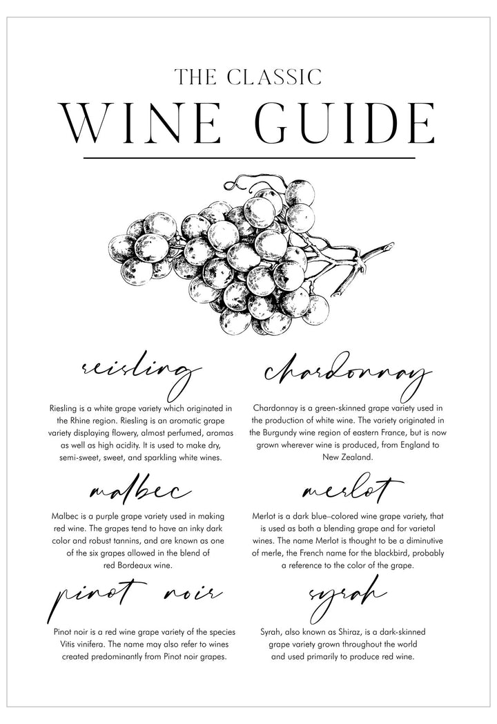 Wine guide with illustrations of grapes and text on a white background
