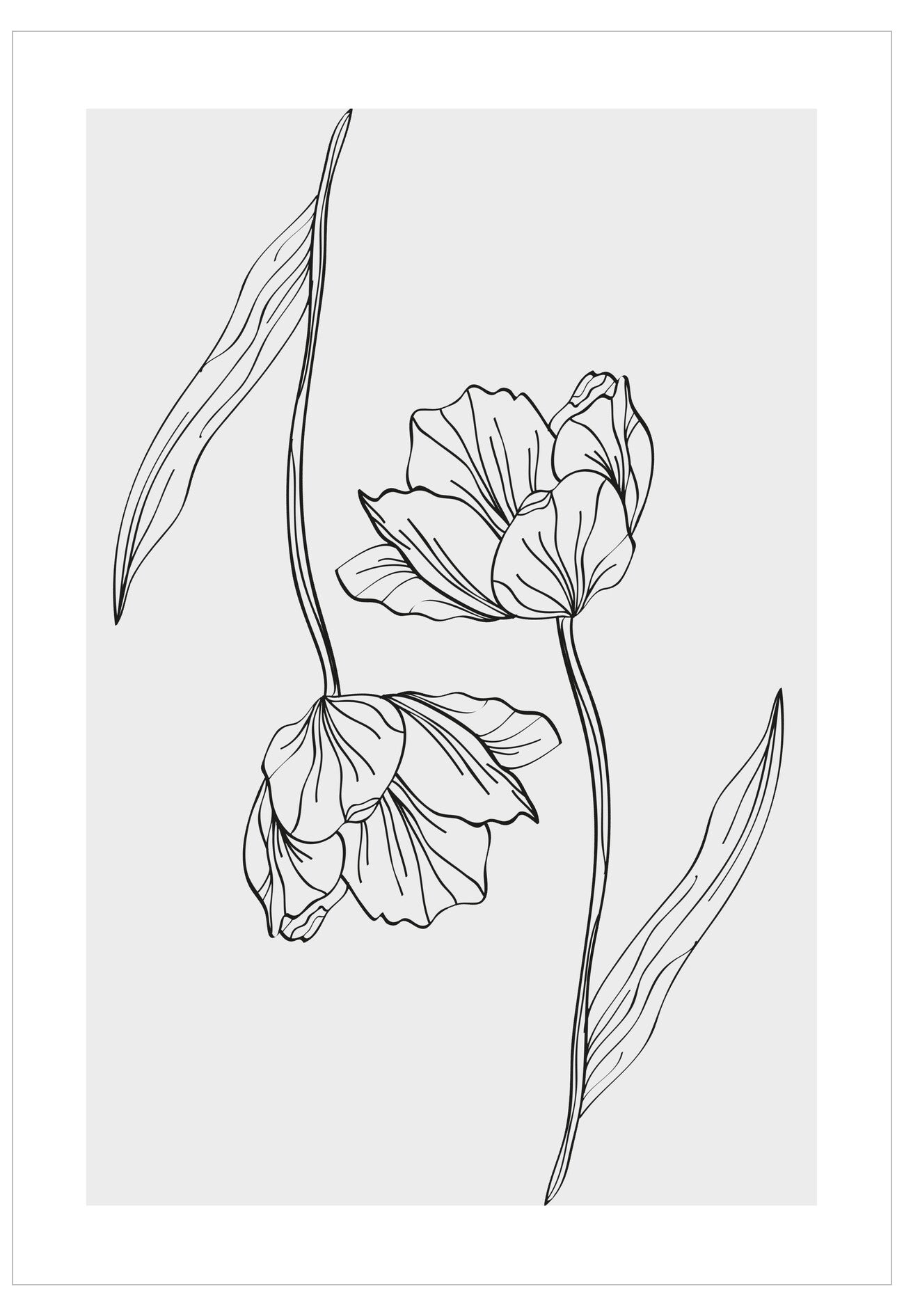 Line drawing of two flowers with leaves on a white background