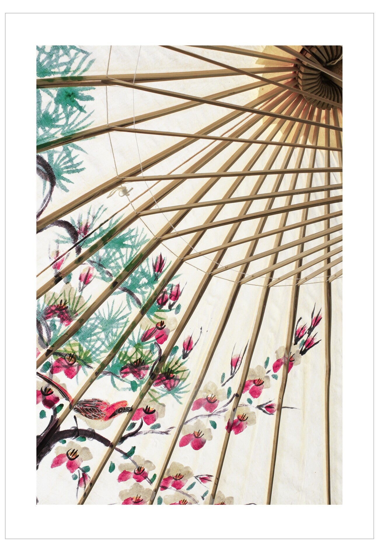 Traditional Japanese umbrella with floral and bird design