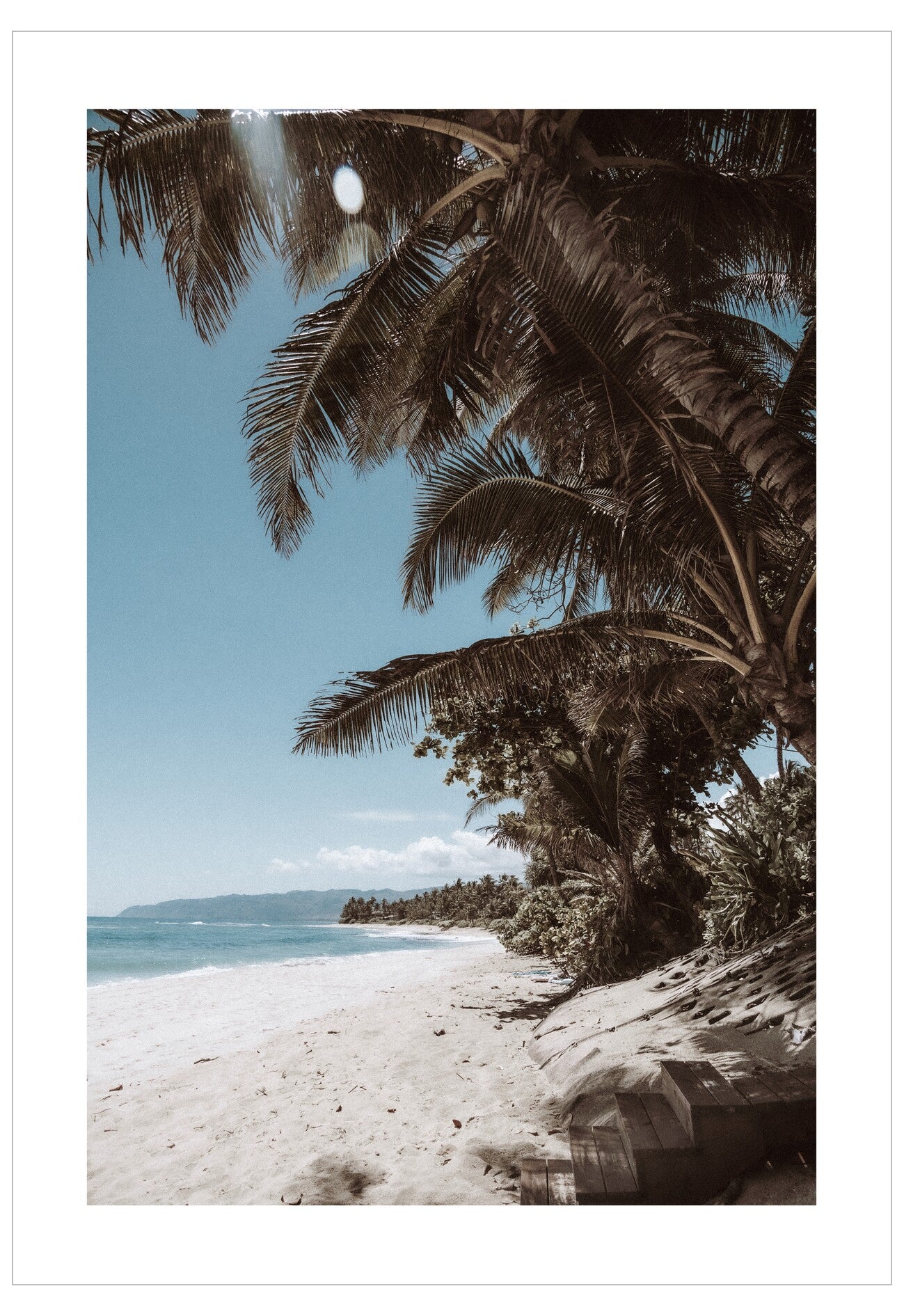 Tropical beach with palm trees and clear blue sky