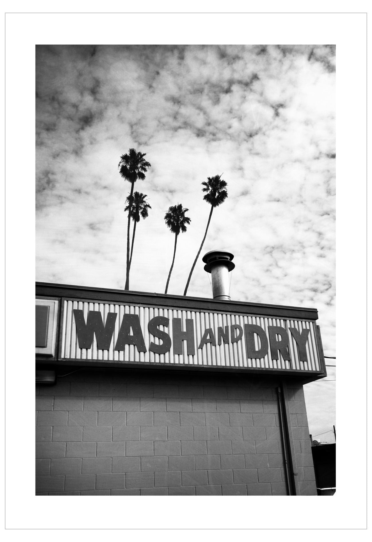 Black and white image of a 'Wash and Dry' sign with palm trees in the background.