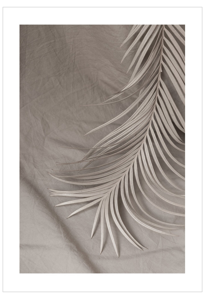 Palm leaf on a textured beige background