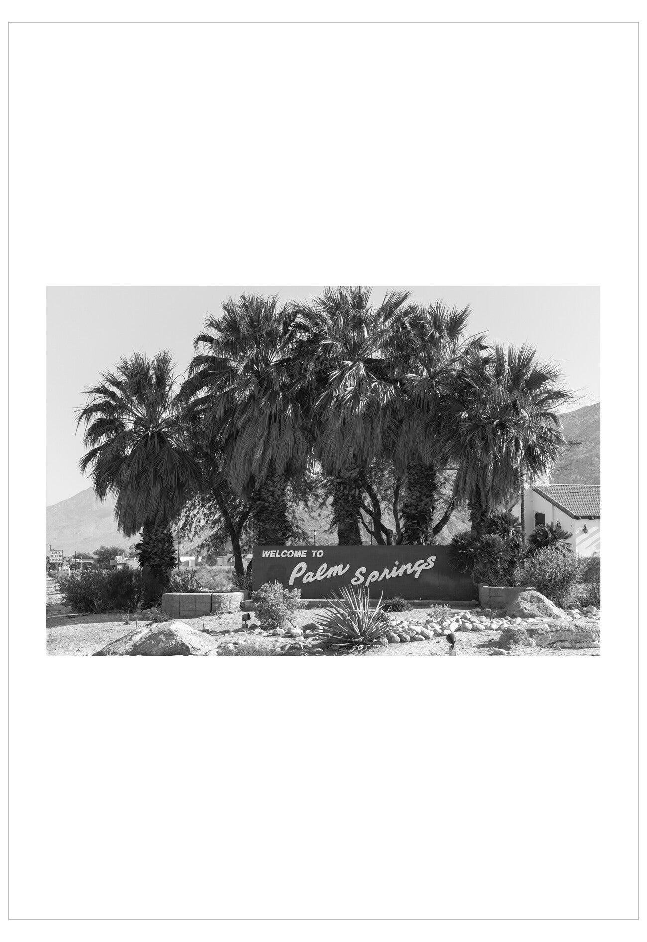 Black and white photo of a 'Welcome to Palm Springs' sign with palm trees.