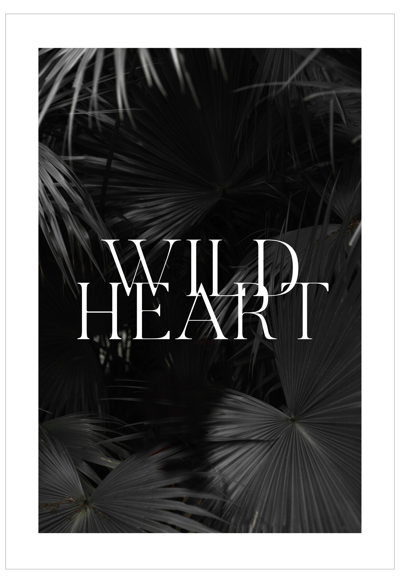 Black and white text 'WILD HEART' with palm leaves in the background
