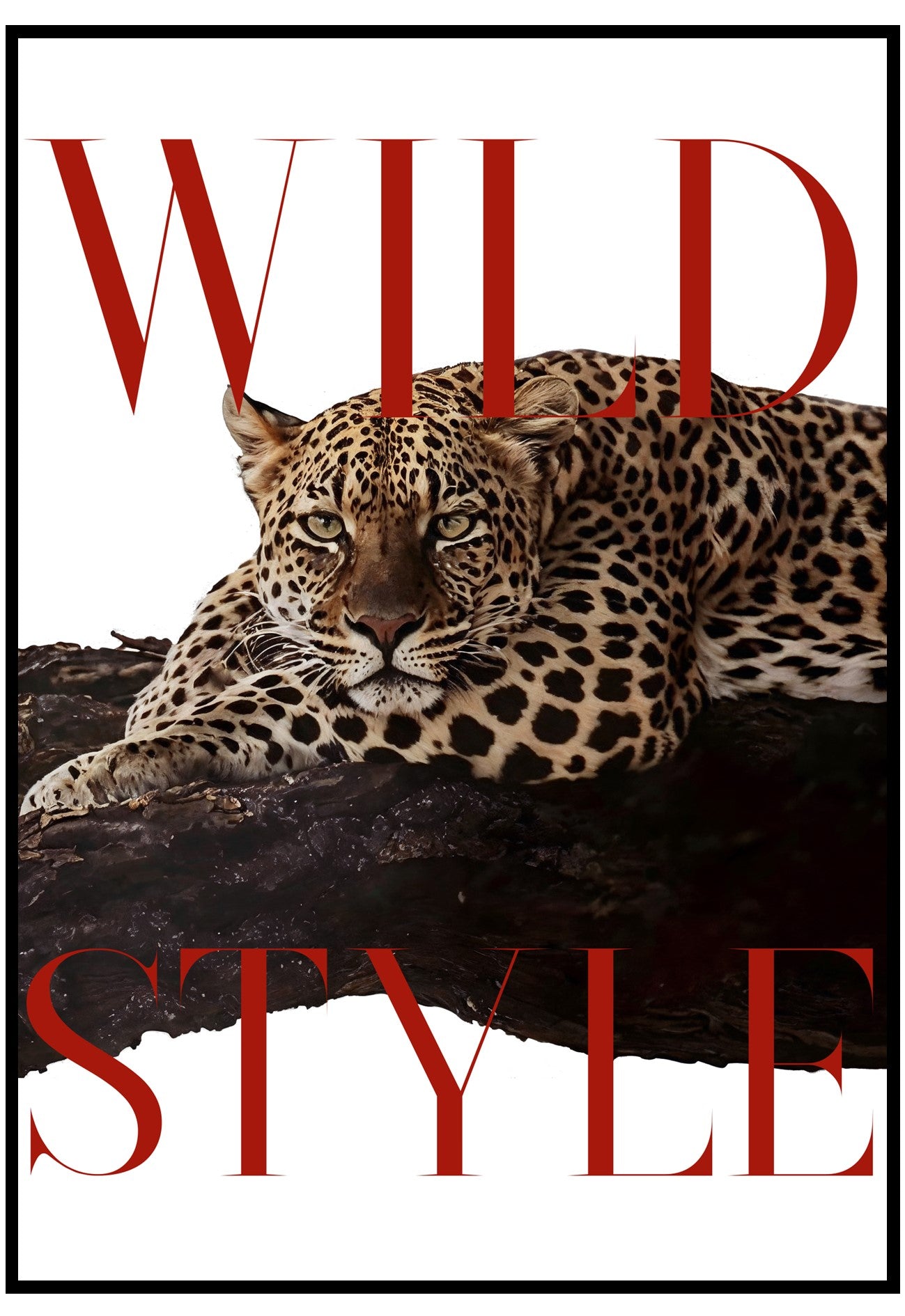 Leopard lying on a branch with 'Wild Style' text in red and white.