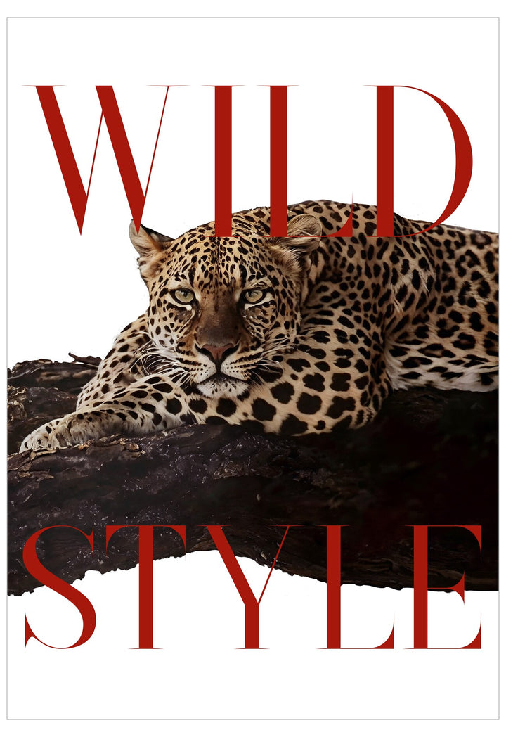 Leopard lying on a branch with 'Wild Style' text overlay