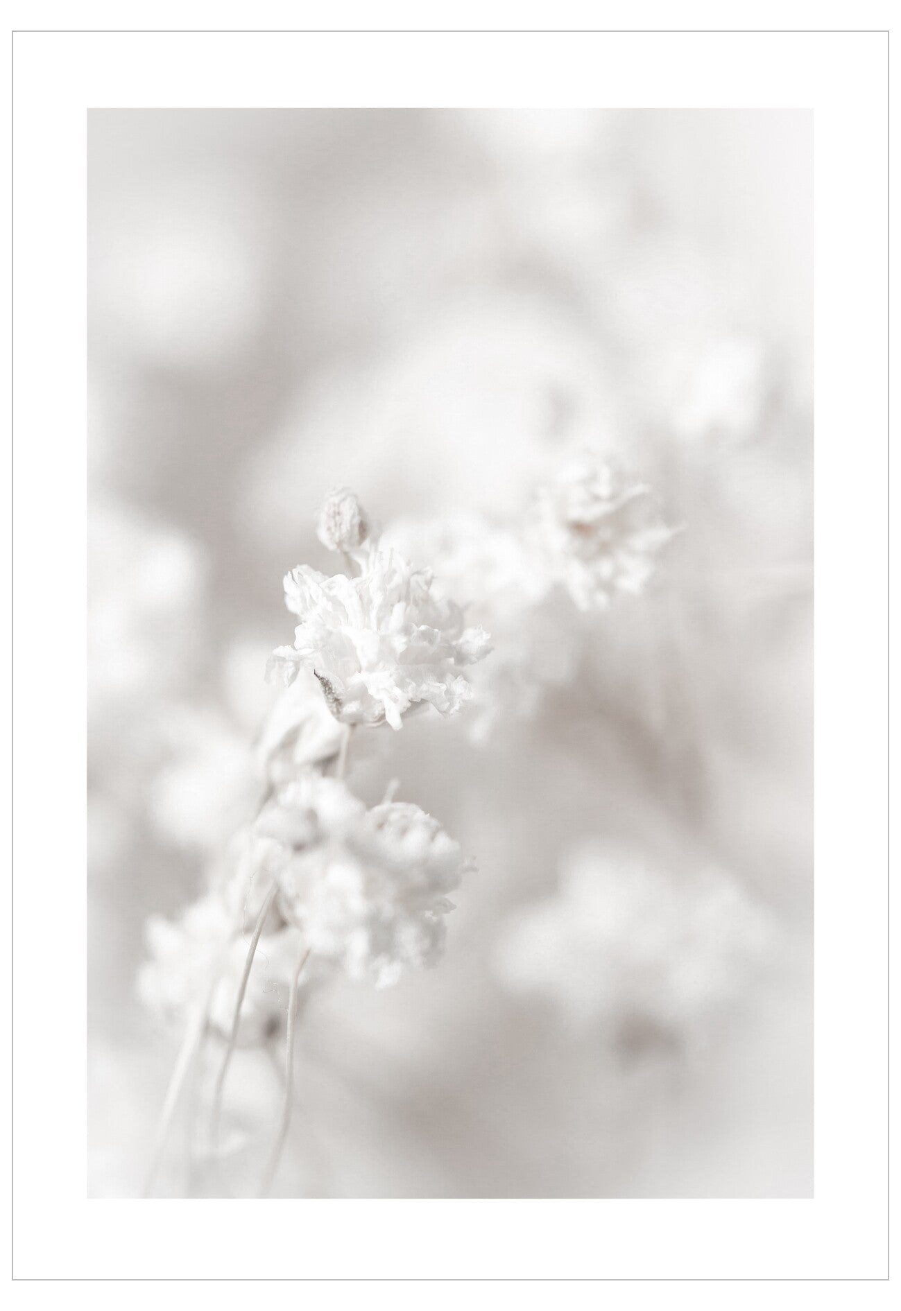 Winter Flowers No.1 Poster