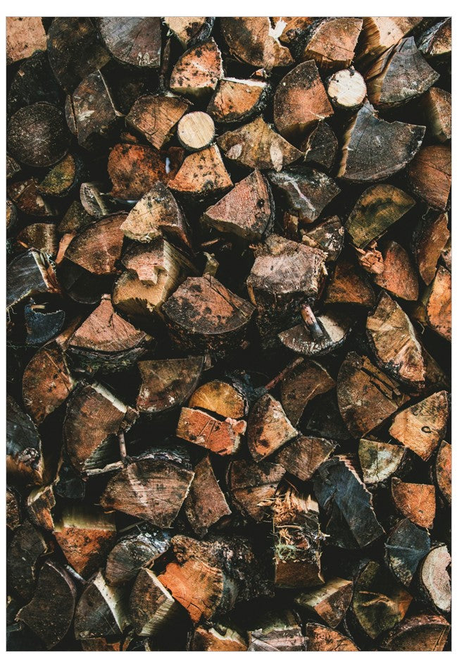 Stack of chopped firewood with various shades of brown and black.