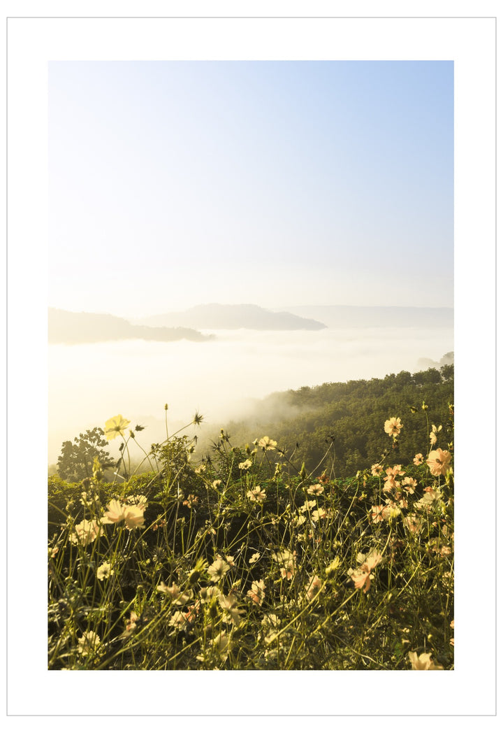 Yellow Wild Flowers Poster
