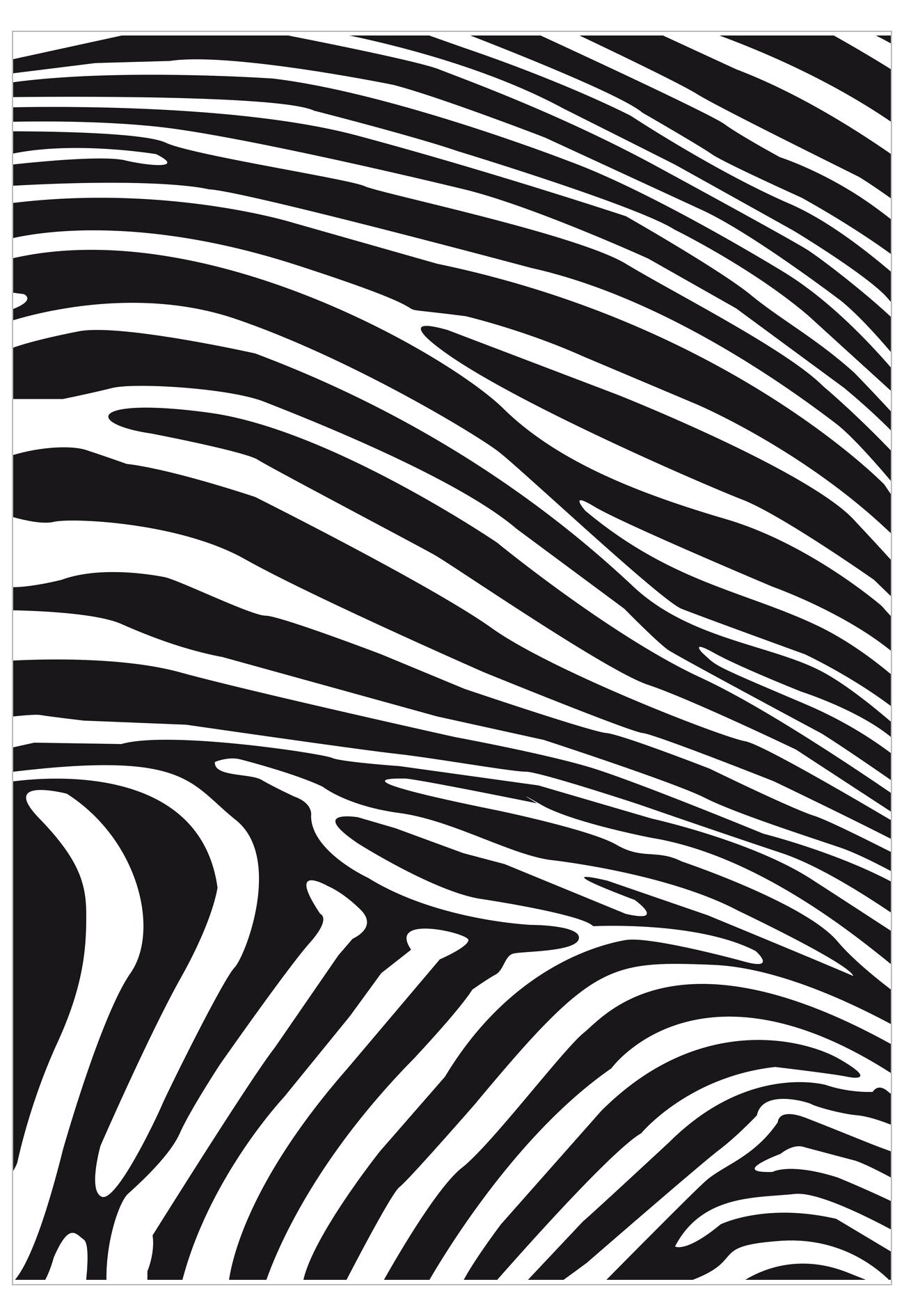 Black and white zebra stripe pattern