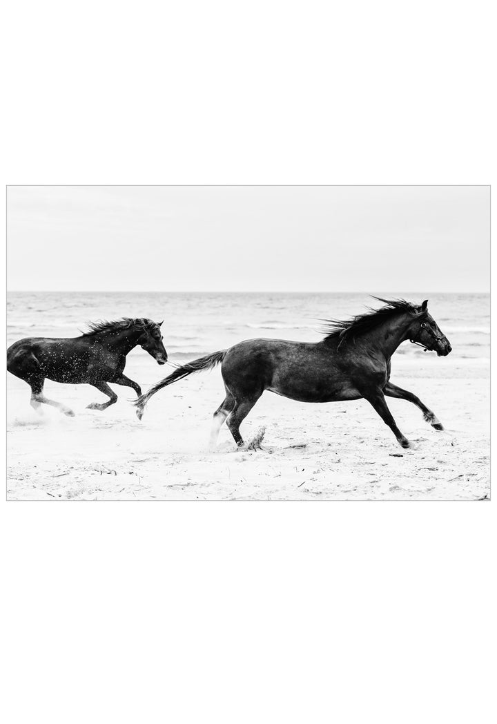 Black and white photographic print of two horses running across a sandy beach with the ocean and sky in the background.