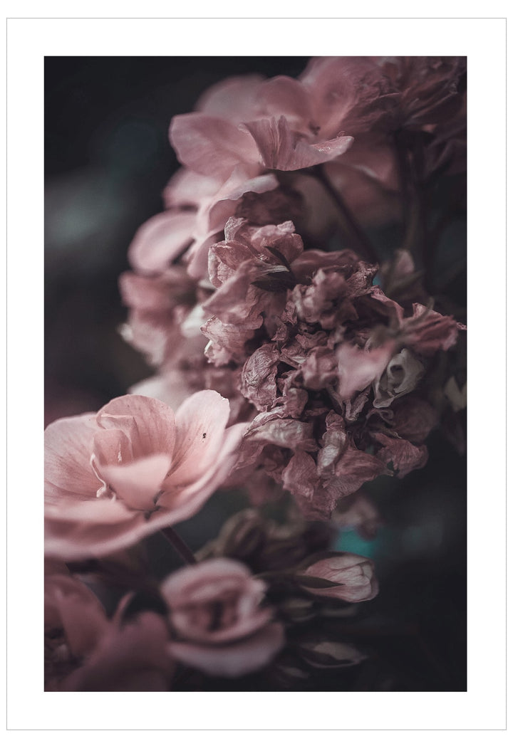 pink dreams botanical wall art
