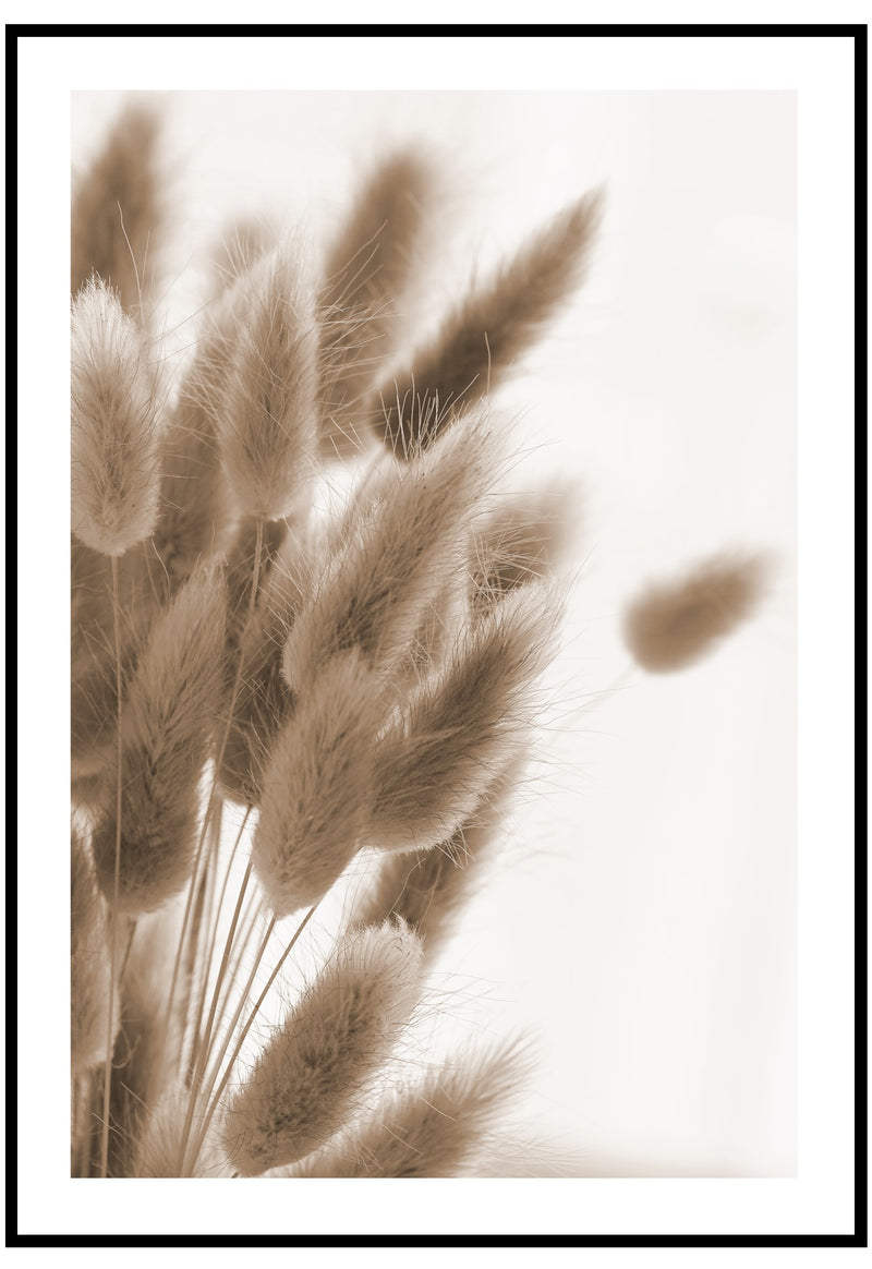 bunny tails grass poster