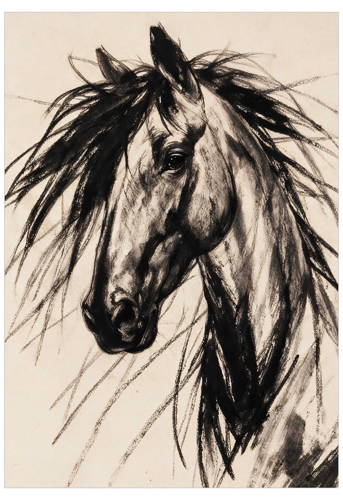 A charcoal or pencil sketch of a horse's head and neck on a warm off-white paper background, with expressive dark strokes and visible paper texture.
