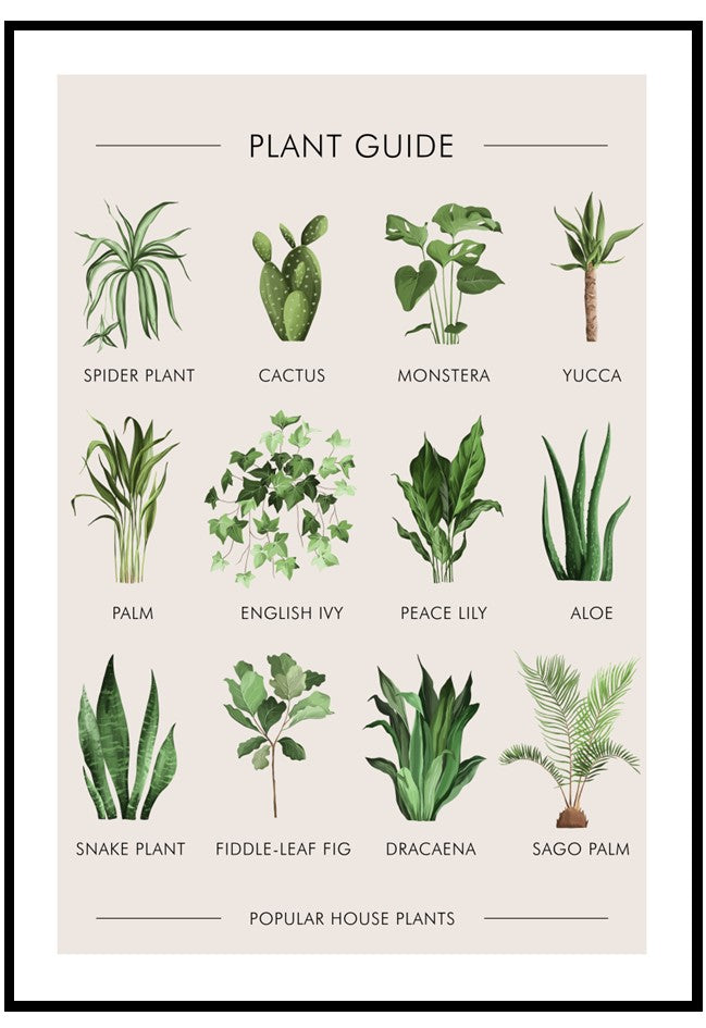 plant guide wall art