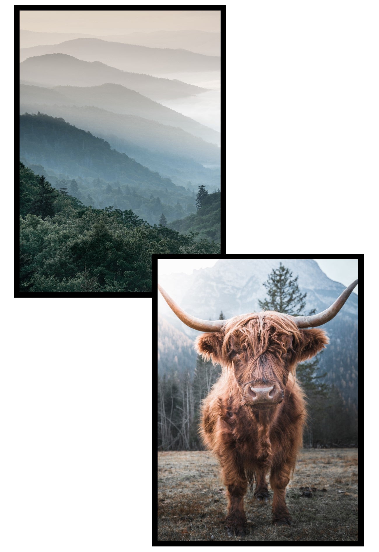 mountain nature wall art print set