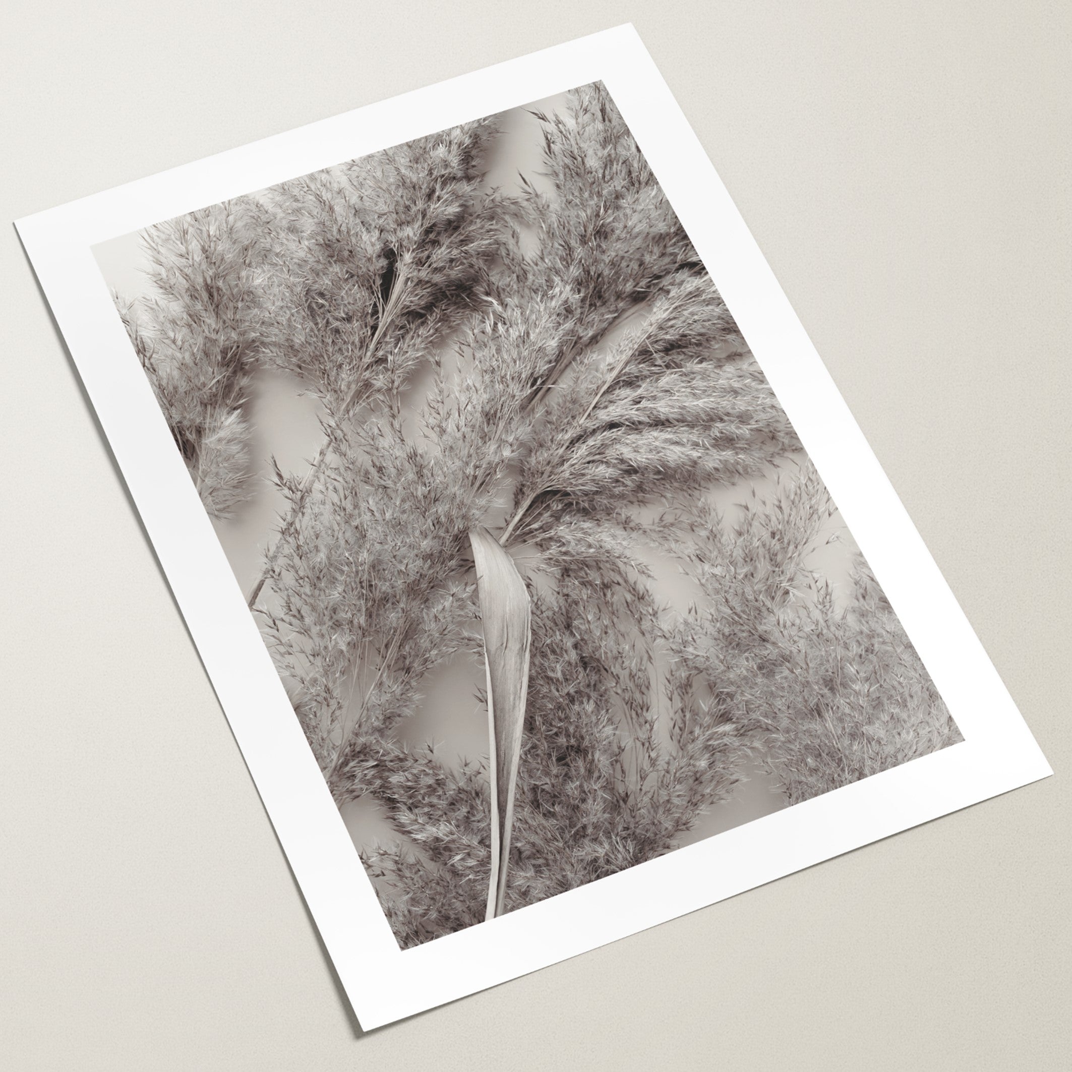 dry pampas wall art