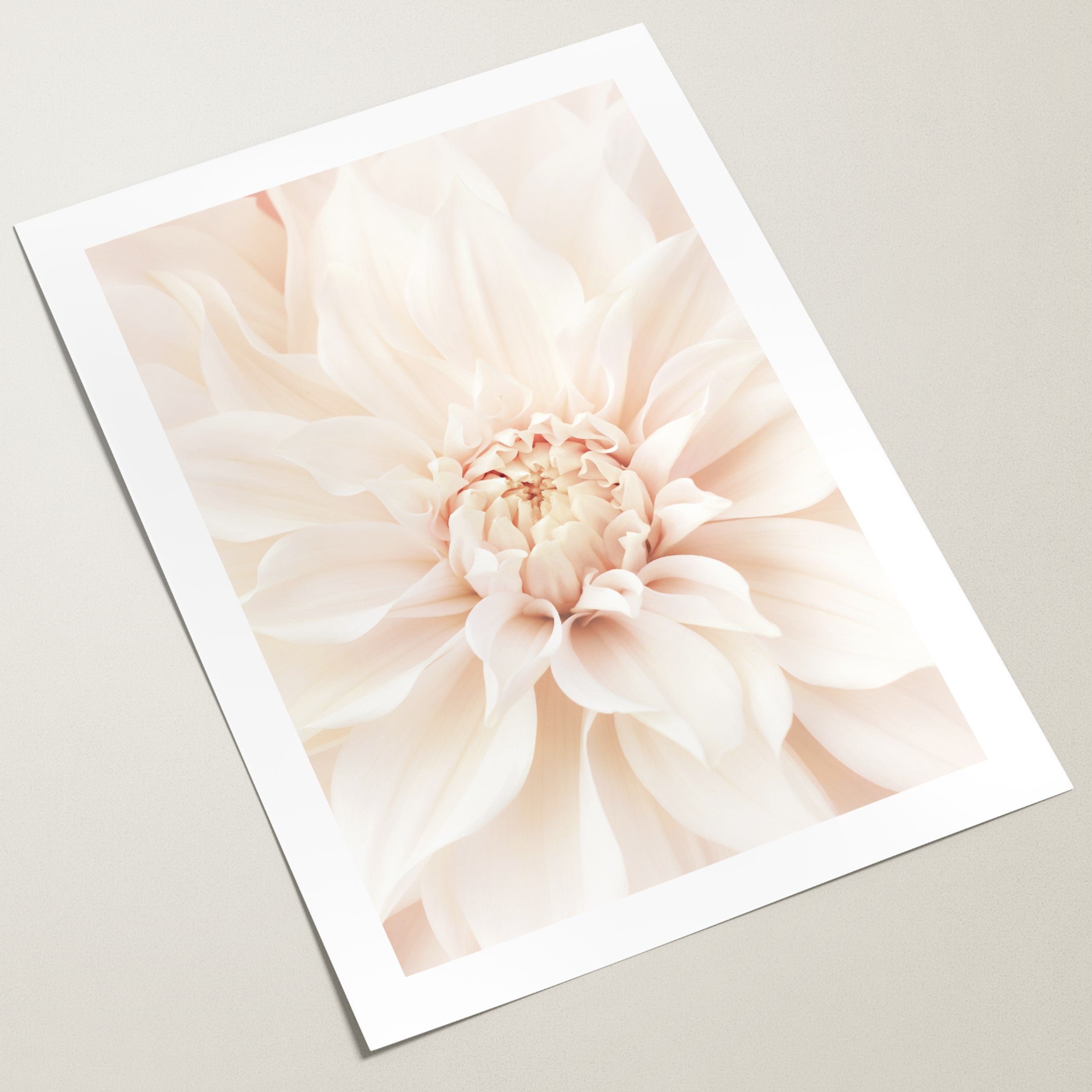 dreamy dahlia wall art