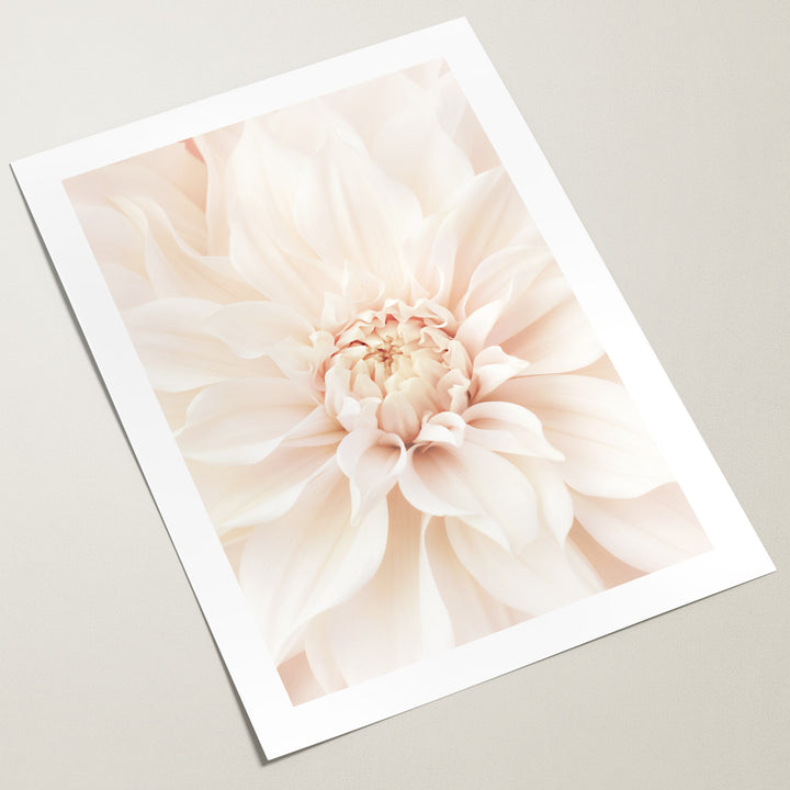 dreamy dahlia wall art