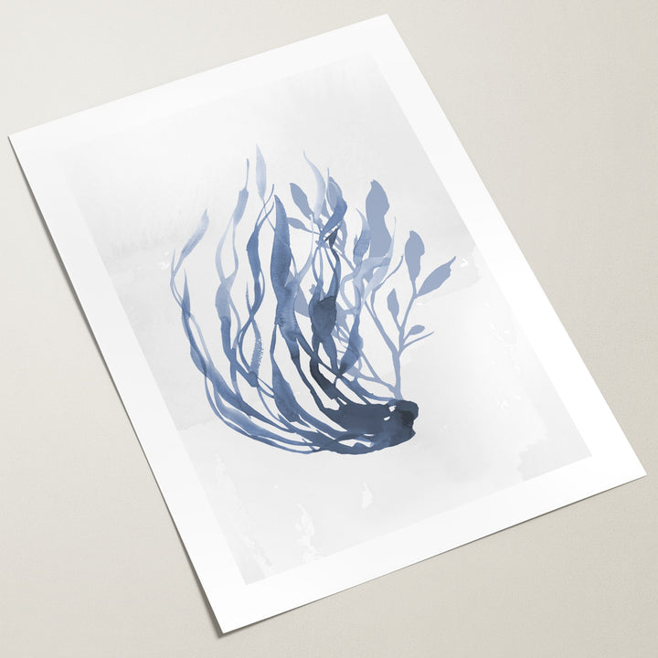sea kelp wall art