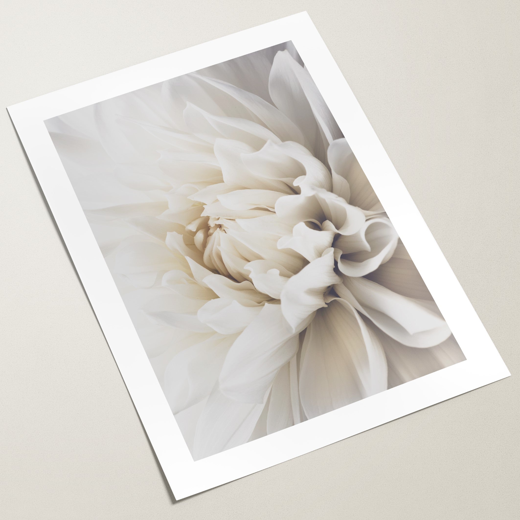 WHITE DAHLIA WALL ART