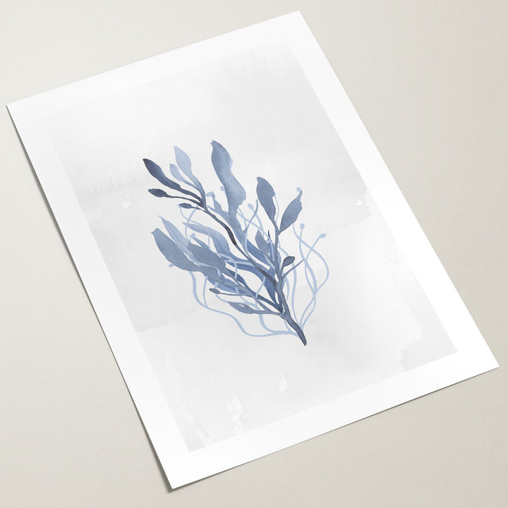 sea kelp wall art