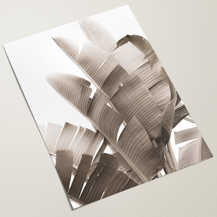 neutral banana leaves print