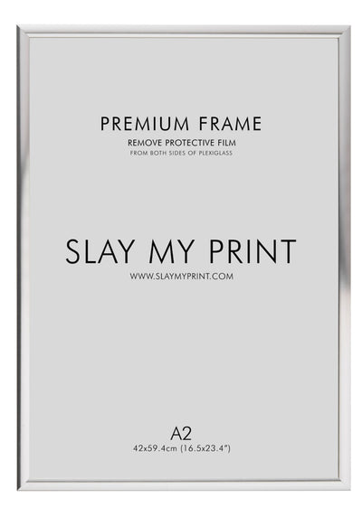 SILVER PICTURE FRAME a2