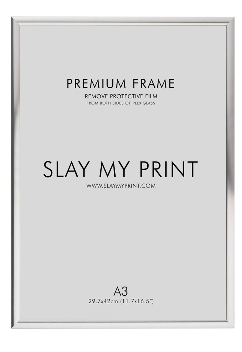 silver picture frame A3