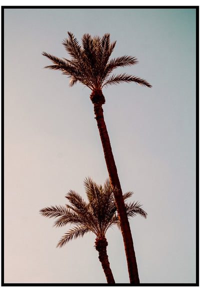 sunset palm trees poster