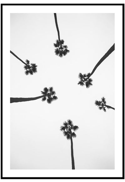 palms above wall art