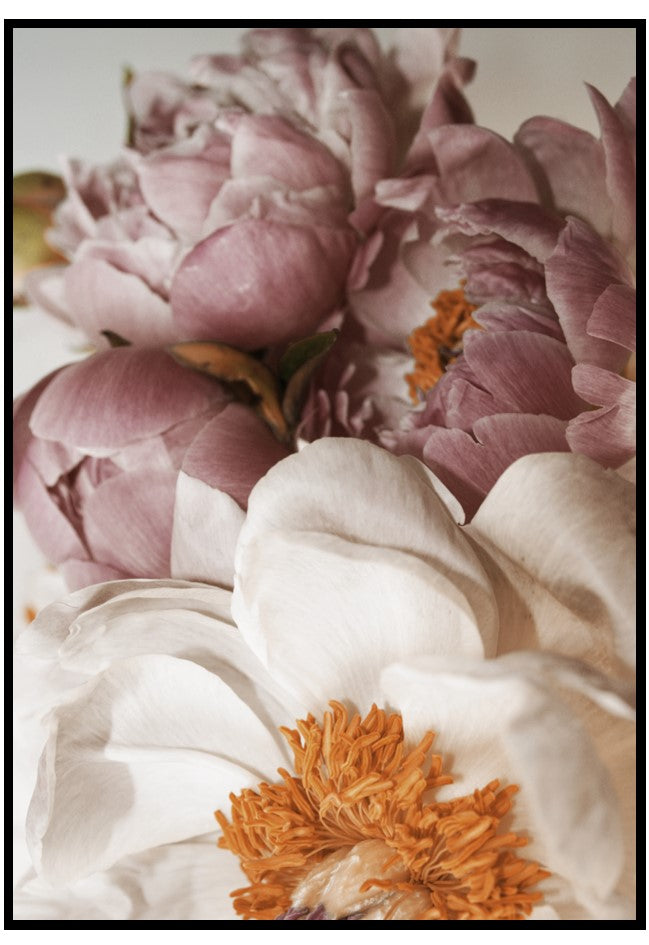 neutral peonies wall art