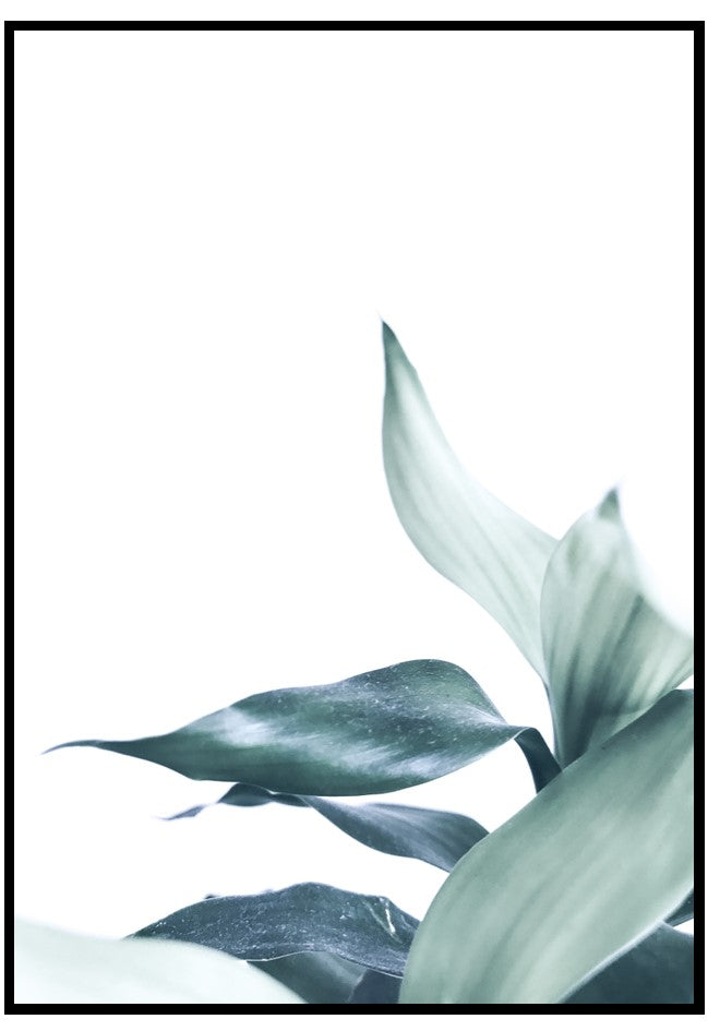 light green leaves poster