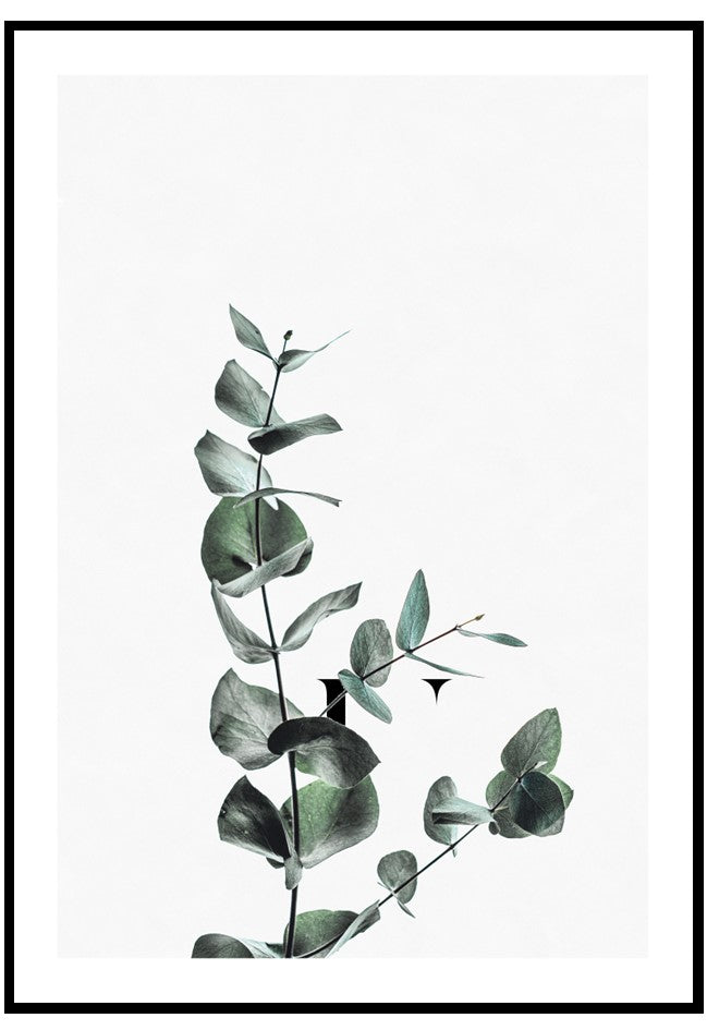 eucalyptus leaves wall art