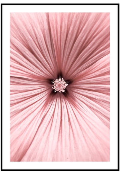 pink petal flower wall art