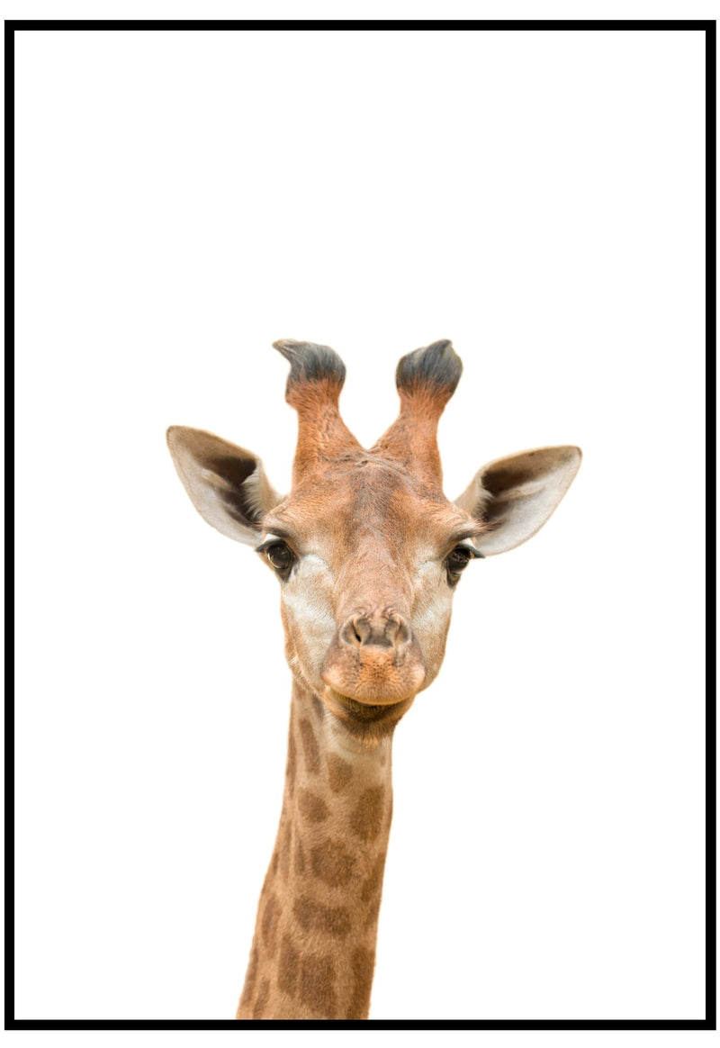 giraffe poster for kids room