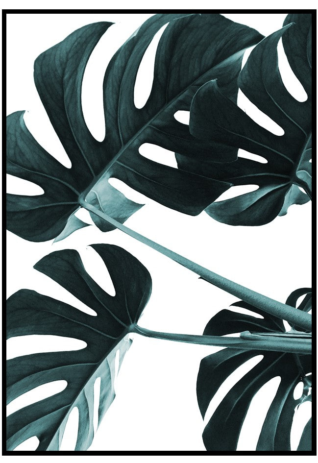 dark green monstera leaves poster