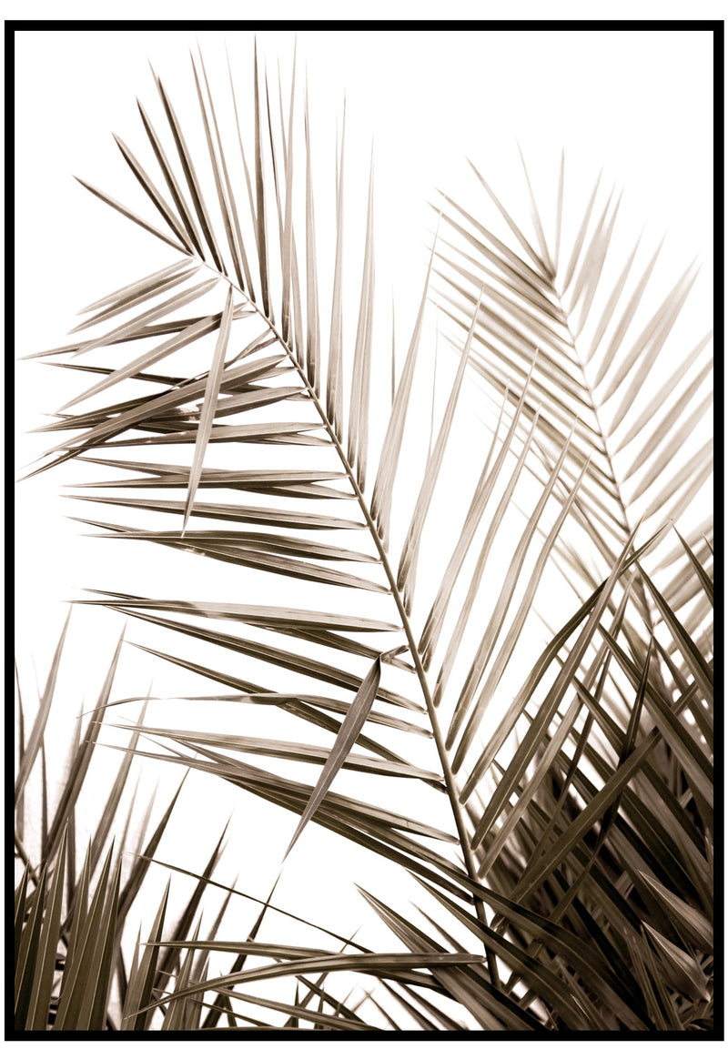 neutral palm leaves print