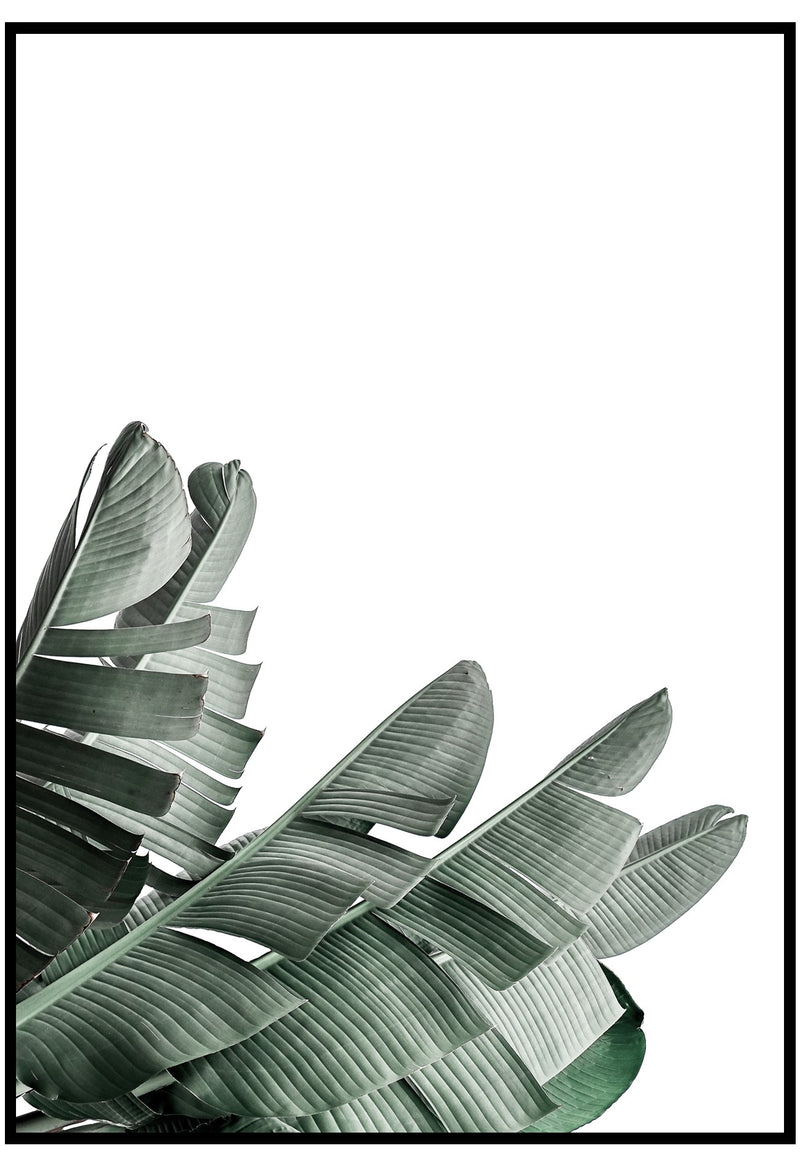 tropical banana leaves wall art