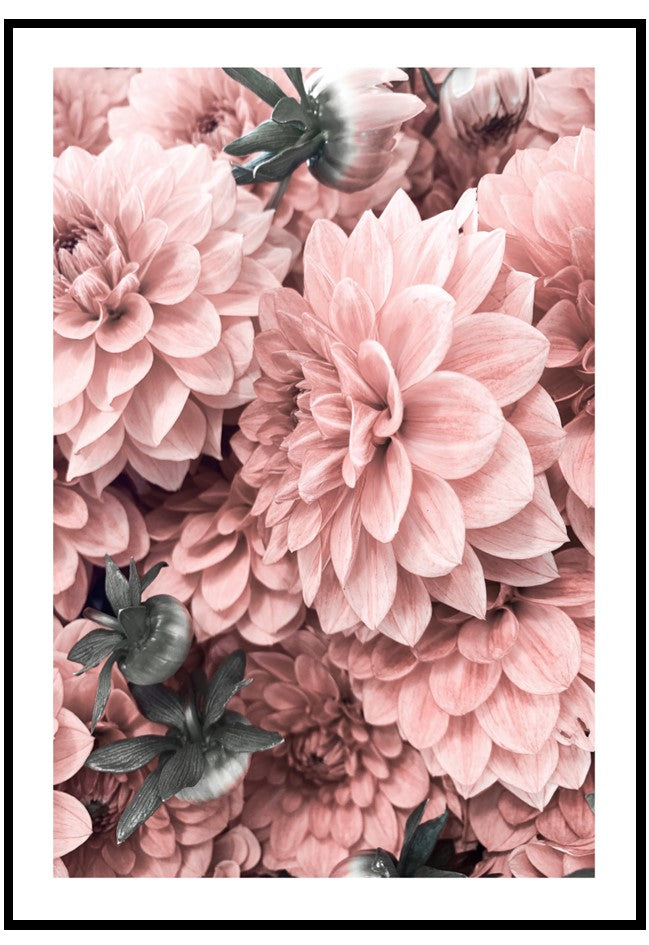 pink in bloom wall art