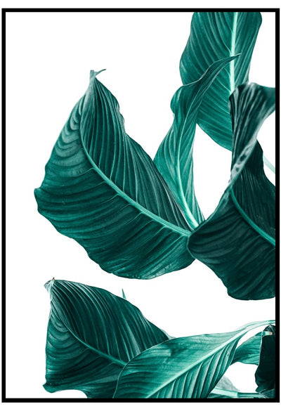 green leaves poster