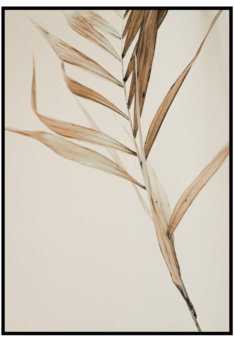 beige palm leaf poster