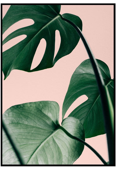 monstera leaves on pink wall art