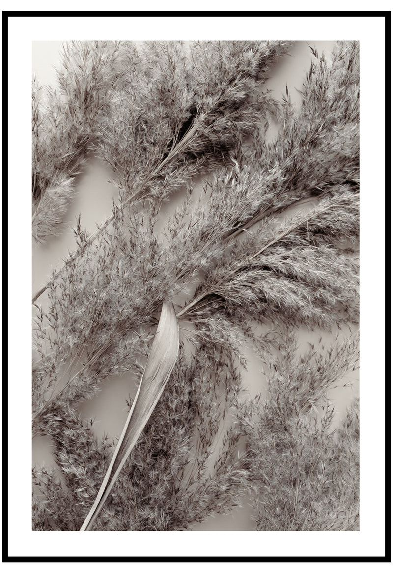dry pampas wall art