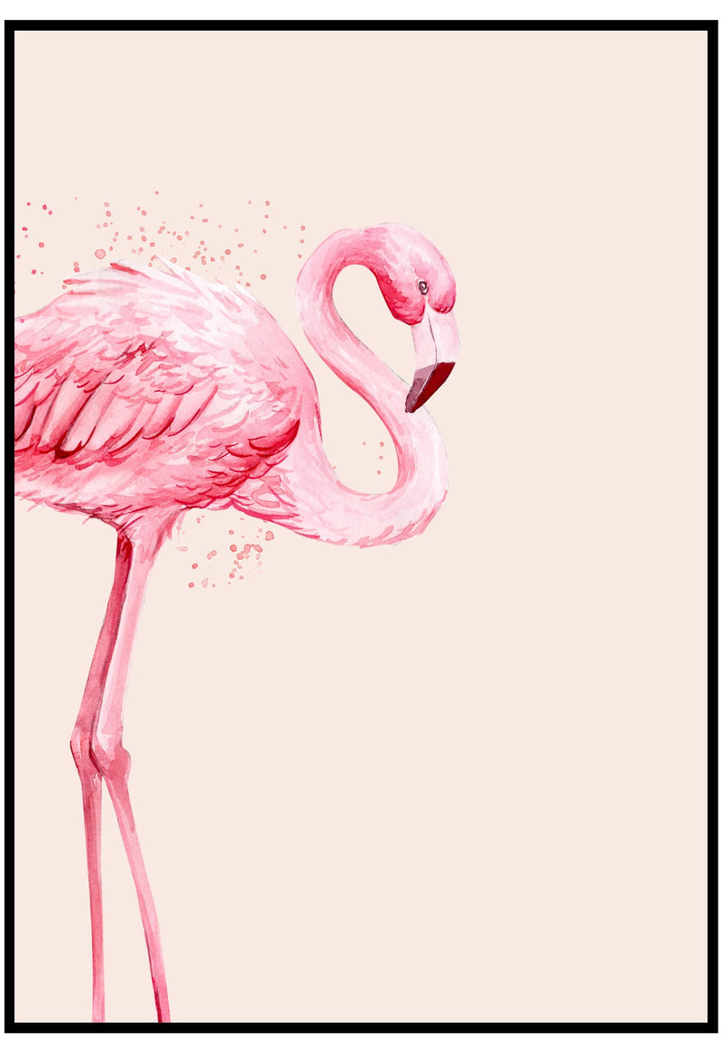 flamingo illustration wall art