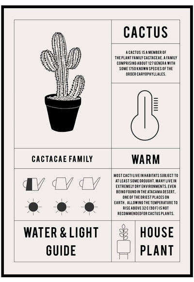 cactus plant guide wall art