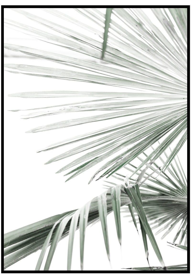 tropical fan palm wall art